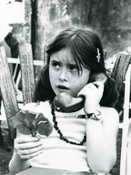 emetrece 1981